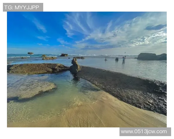从惊险腾跃到完美入水探秘跳水运动背后的力量与艺术