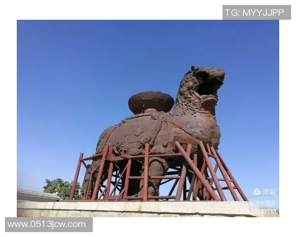 沧州雄狮崛起背后的历史传承与文化魅力探究 沧州雄狮崛起背后的历史传承与文化魅力探究