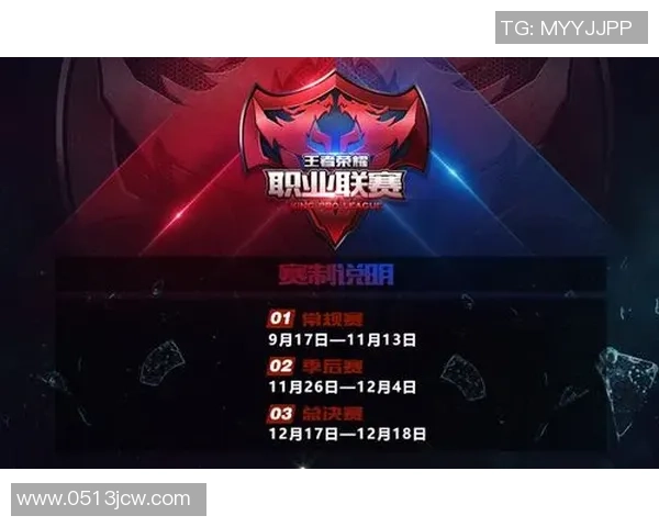 电竞职业联赛发展趋势分析与未来前景展望